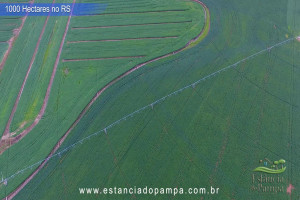 VB 4.00_03_48_04.Quadro056_5efd73710aa18a71a38933b1b4619af8f1dd22fc.jpg